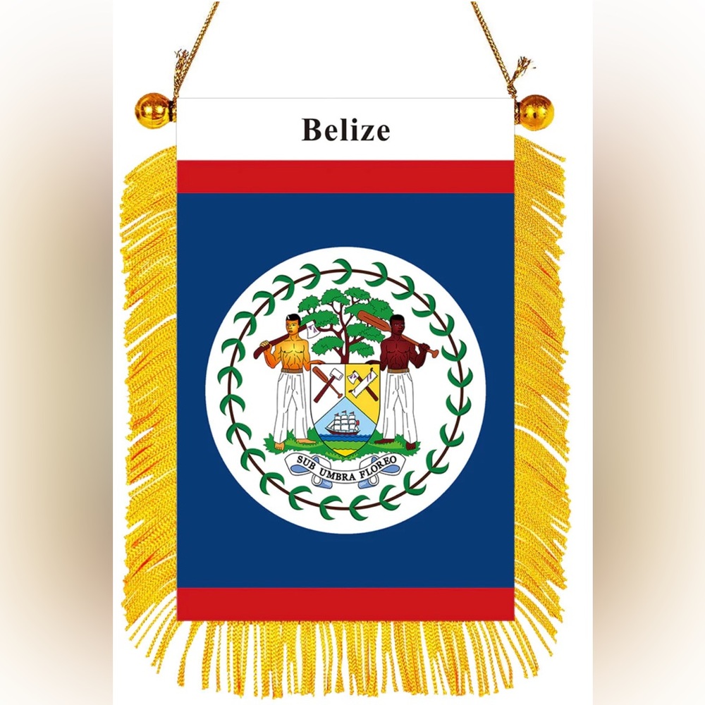 Belize rearview mirror flag